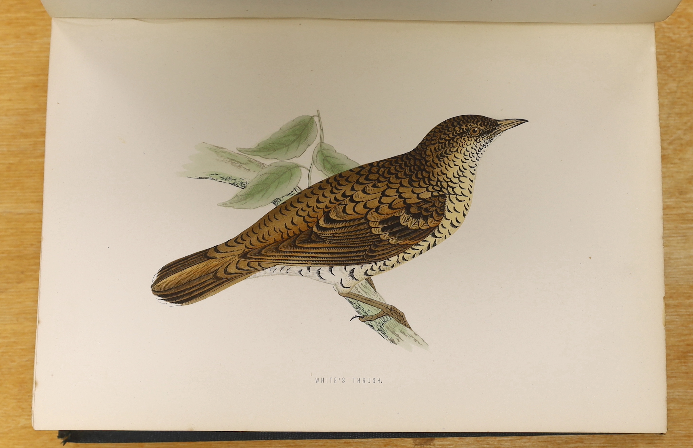 Morris, Rev. Francis Orpen - A History of British Birds, 2nd edition, 6 vols. 365 hand coloured plates, publisher's gilt pictorial cloth, 4to. 1870